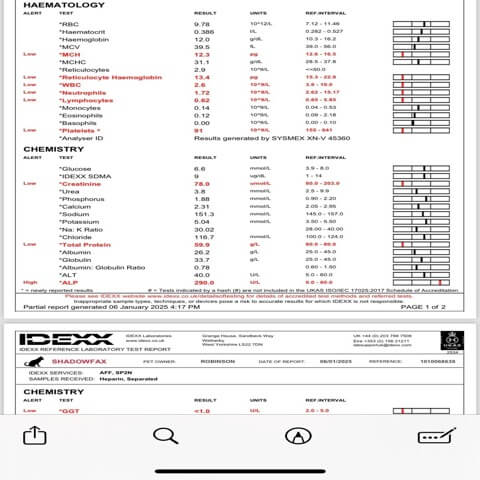 Patient portal screenshot example